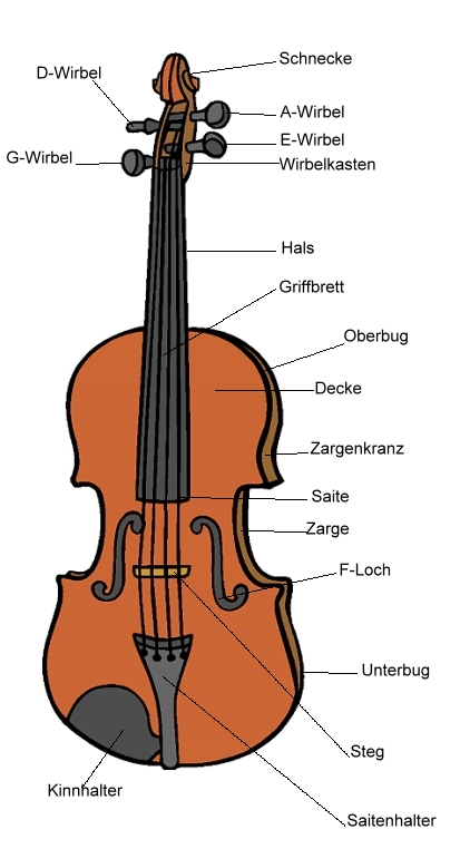 Die Geige Bilder Ausdrucken Kinder
