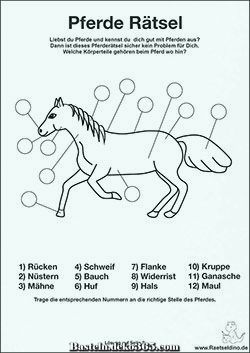 Pferde Theorie Für Kinder Zum Ausdrucken