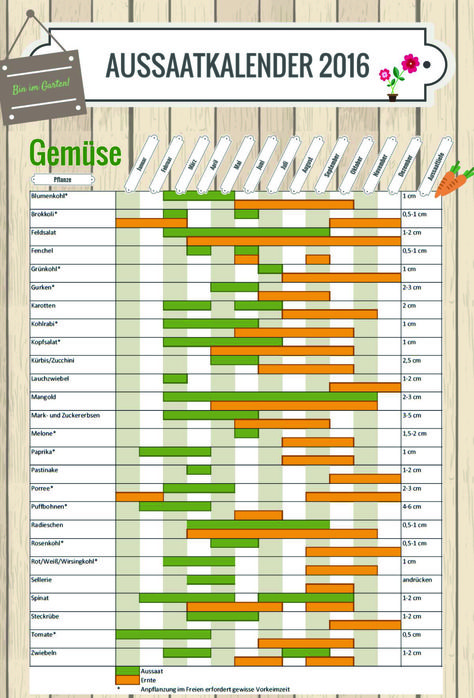 Aussaatkalender Für Kinder Zum Ausdrucken